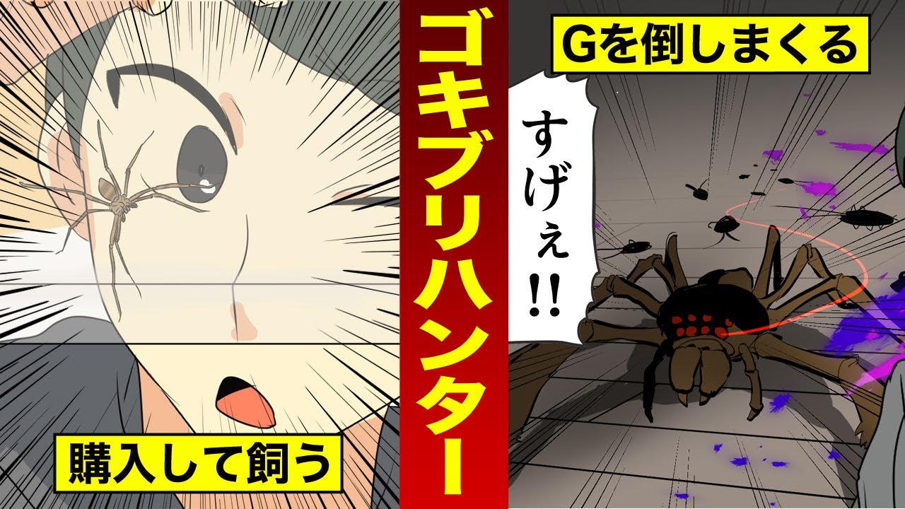 漫画 最強ゴキブリハンター アシダカグモ を飼うと 家からgがキレイに消える 駆除の決定版 マンガ動画 漫画つべ Fc2動画