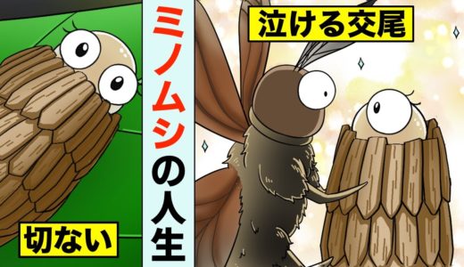 【漫画】ミノムシの切なすぎる人生をマンガにした（動物生態シリーズ）