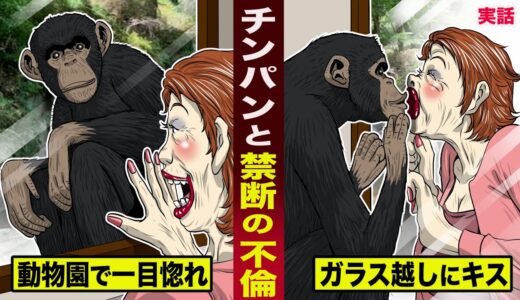 【実話】チンパンジーと禁断の不倫。動物園で一目惚れし…ガラス越しに熱いキスを交わす。