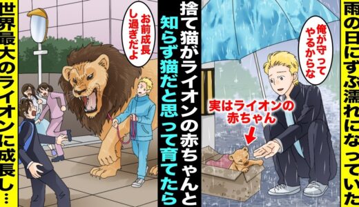 【漫画】雨の日に濡れていた捨て猫を拾って猫だと思って愛情を注いで育てたら猫ではなくまさか世界最大のライオンに成長してしまった…飼うことができなくなり野生に戻した10年後、久しぶりに会いに行ったら・・・